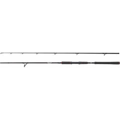 Abu Garcia Beast Spinning Rod