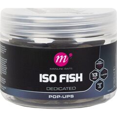 Mainline ISO Fish Pop Ups