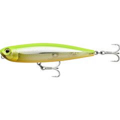 Rapala Precision Xtreme Pencil Saltwater 10.7cm 21gr FHC - Op voorraad