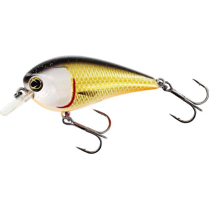 Westin BassBite Squarebill 7cm 16gr Floating Official Roach