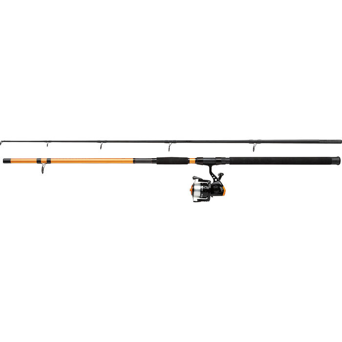 Mitchell Catch Pro Catfish Combo 2.70m 100-300gr