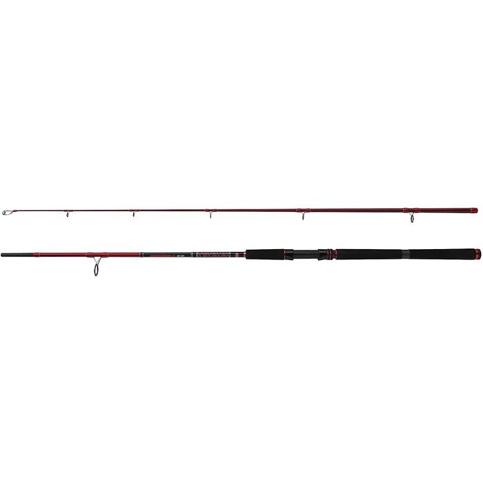 Penn Squadron 3 Sw Spin Spinning Rod 3.0m 20-60gr