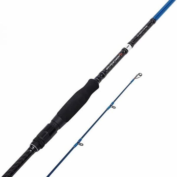 Savage Gear SGS2 Long Casting 2.90m 30-70gr