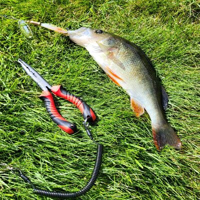 Foto van de Effzett Minnow Spinner